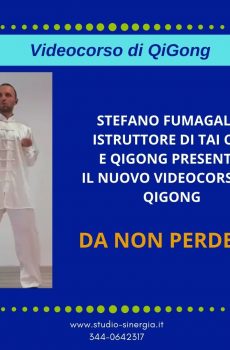 VIDEO CORSO QIGONG